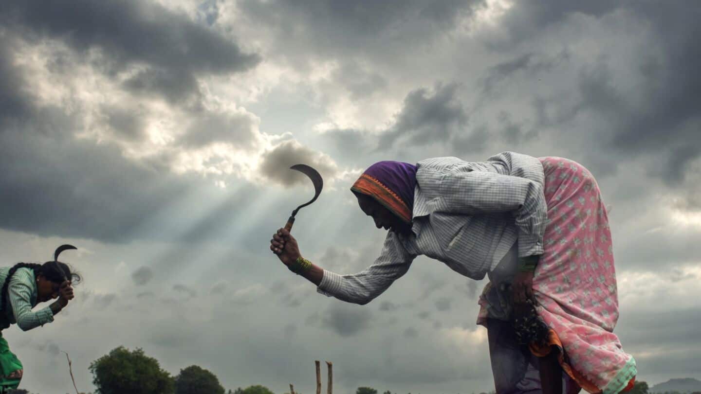 India finalizing 17L tons of urea imports for kharif crops