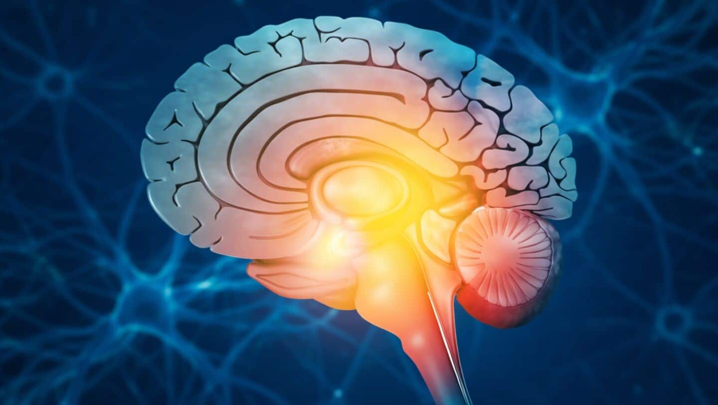 How sugar helps brain tumors evade immune response