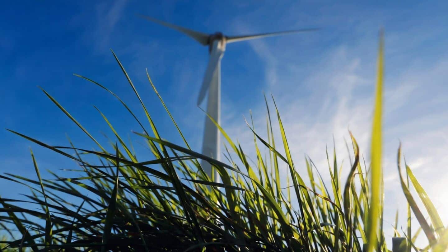 India's green economy $110B in 2025 outpaces Asia and world