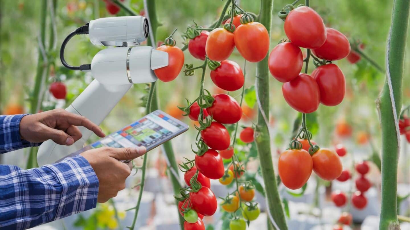 AI delivers real-time, field-specific data to Indian farmers now