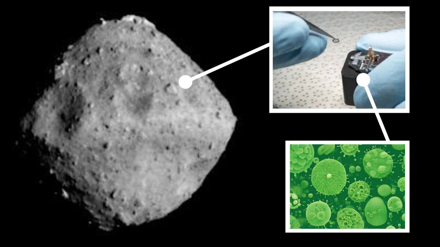 Asteroid Ryugu's samples reveal secrets of our planet's beginnings
