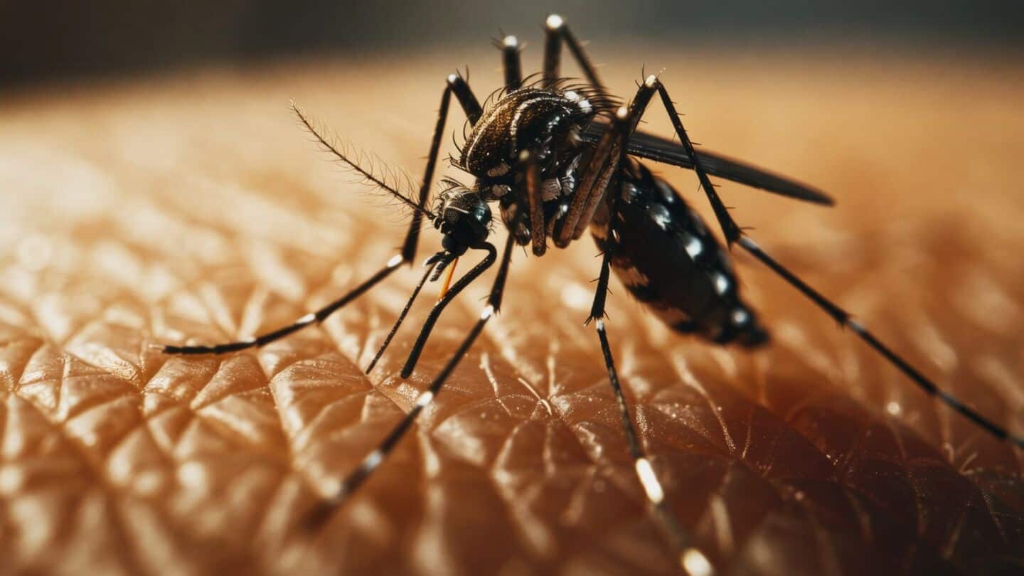 Delhi reports 221 dengue, 66 malaria, 14 chikungunya, no deaths