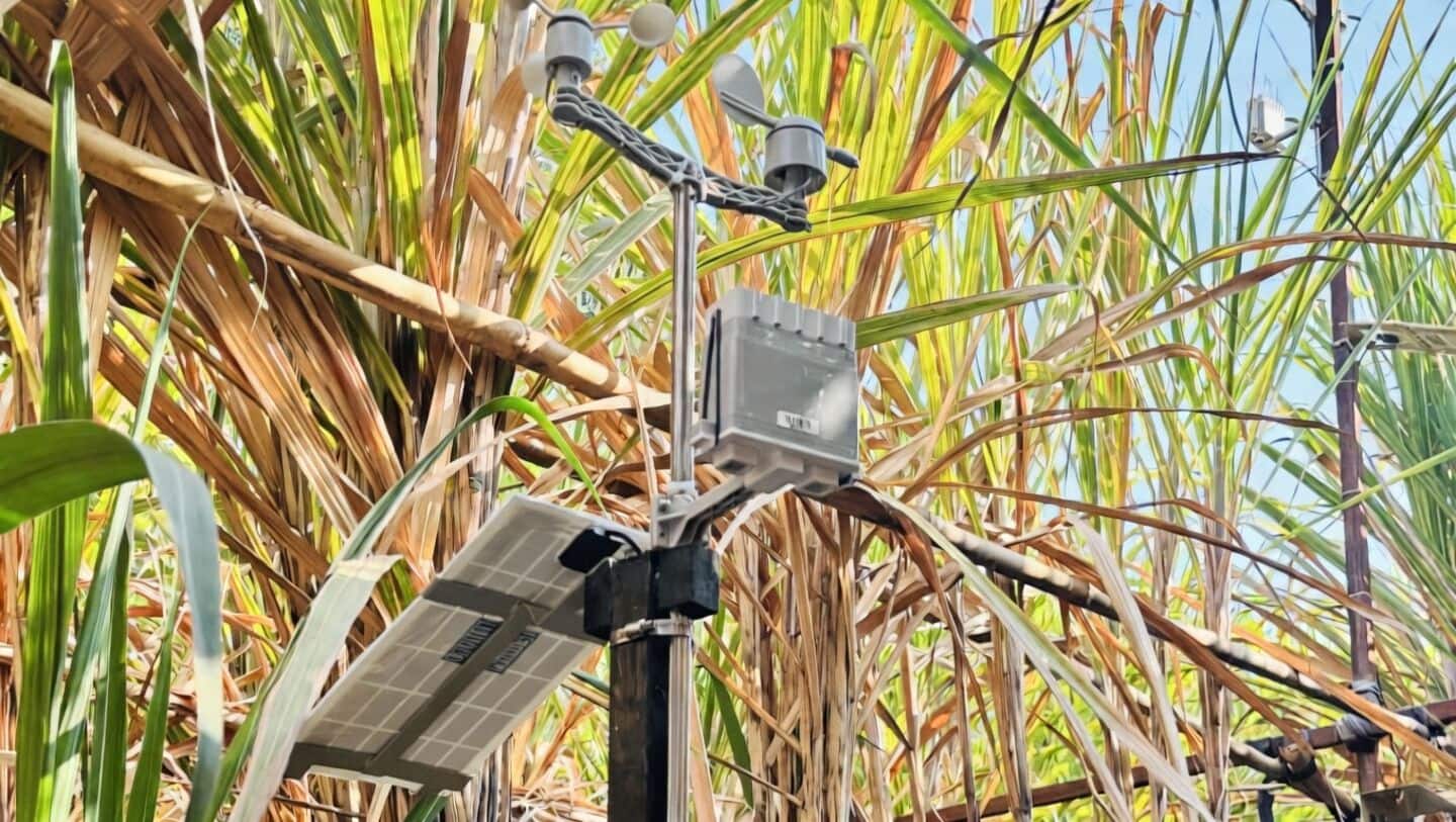 AI is quietly reshaping Indian agriculture: think smart weather stations