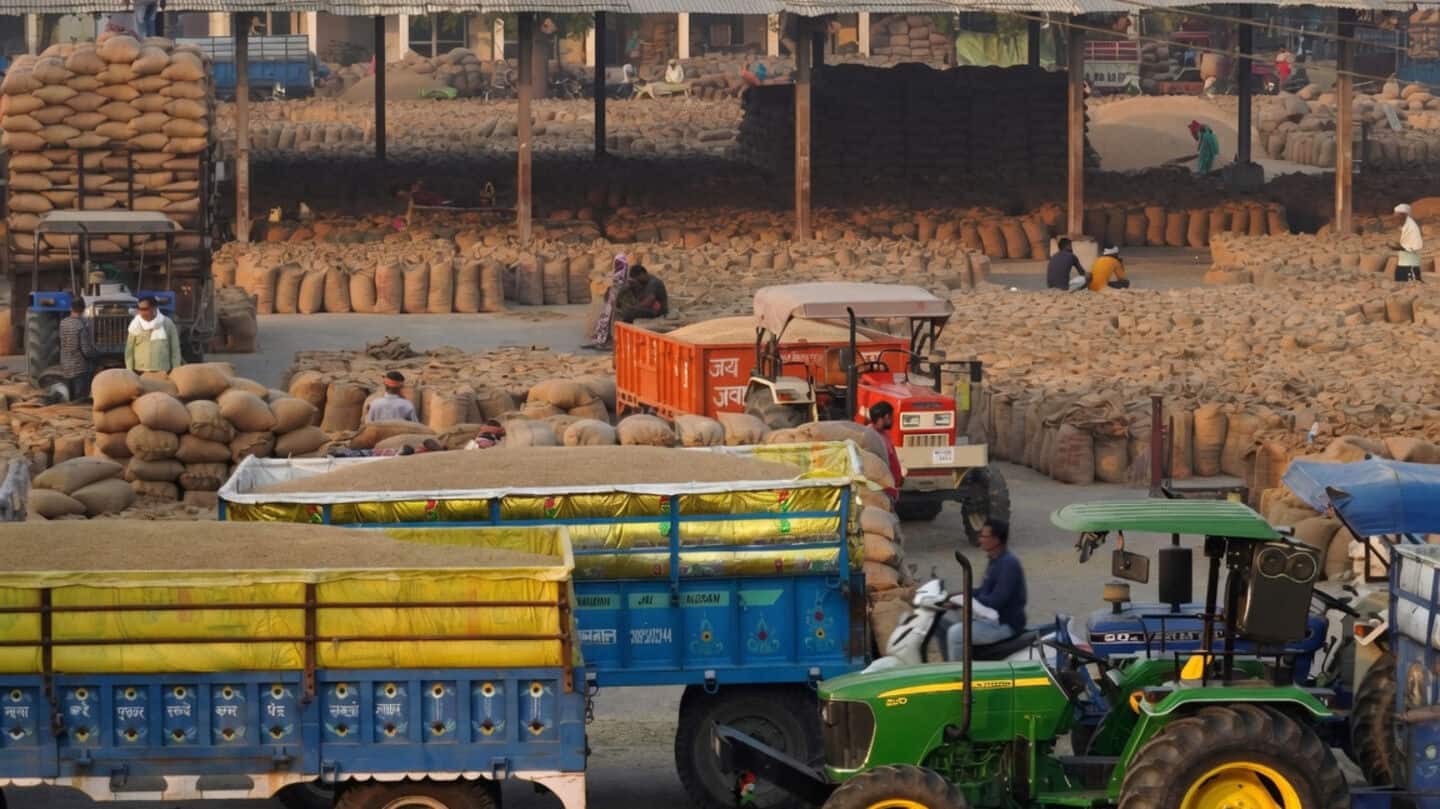 India faces biggest rice production drop in nearly 20 years