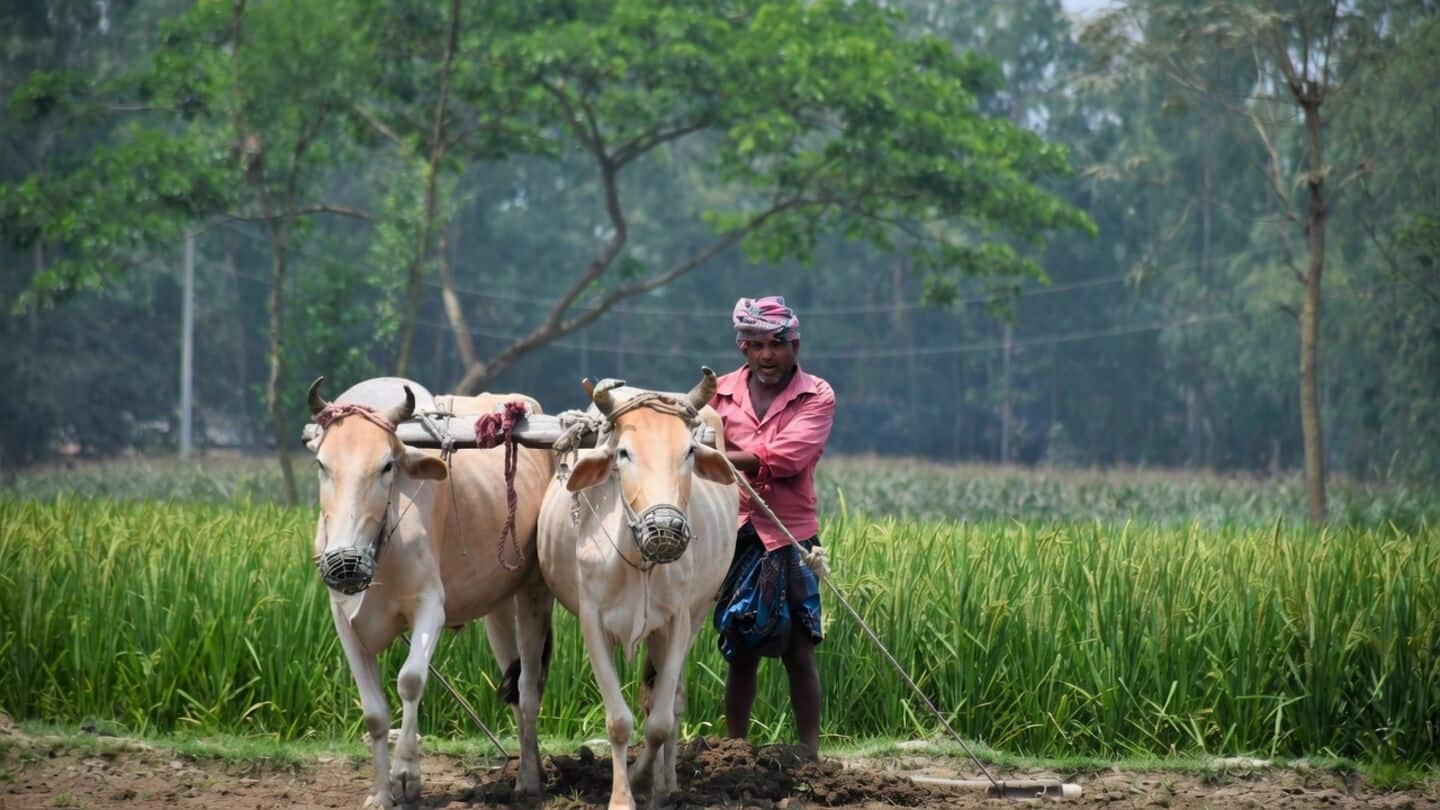 Tamil Nadu launches 'Uzhavar' AI scheme, 2Cr to aid farmers