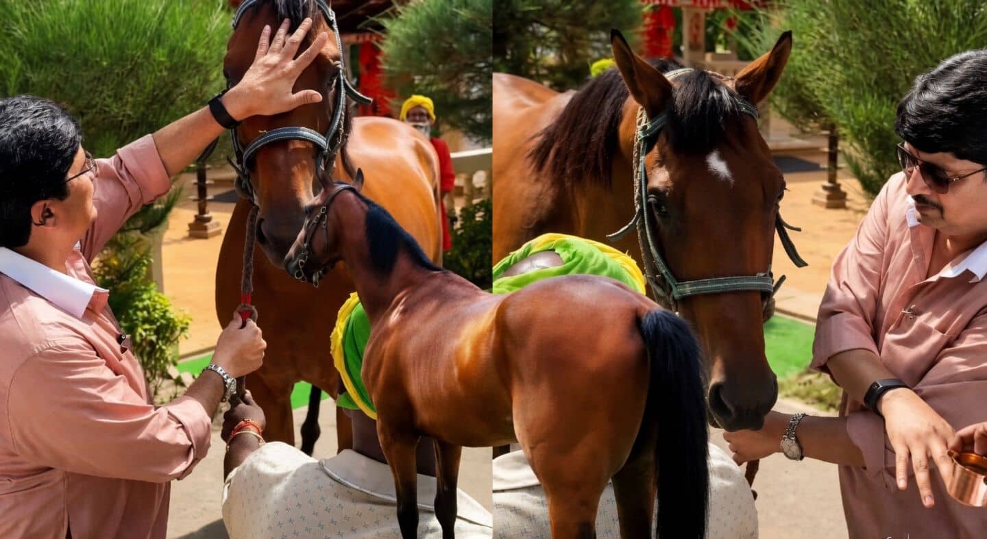 Raja Bhaiya receives ₹2.5cr thoroughbred Ashwa Magadhira in Kunda