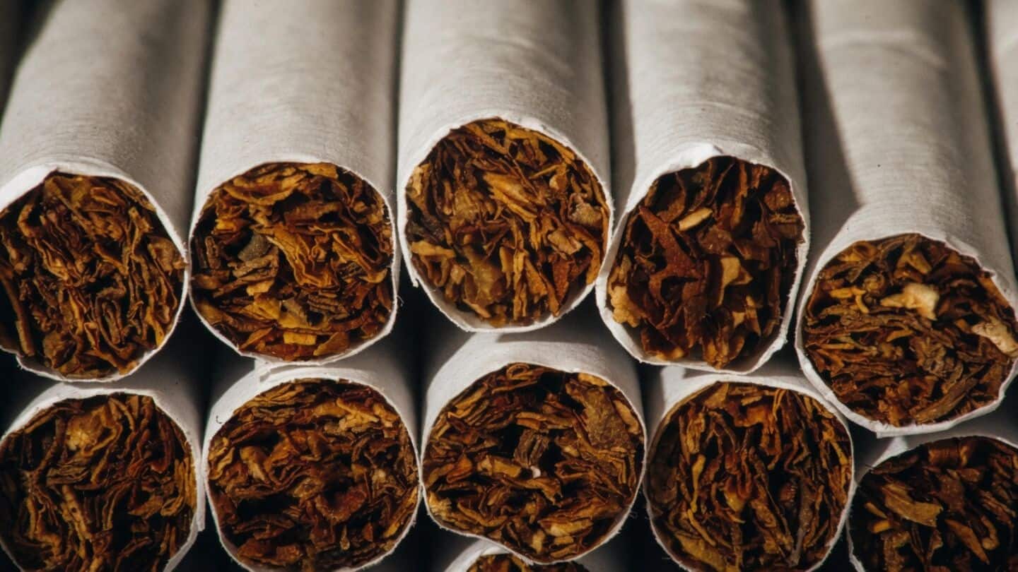 Maharashtra FDA seizes ₹4.78cr banned tobacco and oil stock