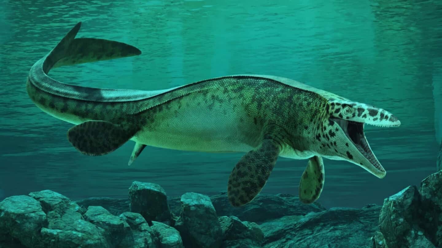 Scientists discover Tylosaurus rex, massive Texas mosasaur with serrated teeth
