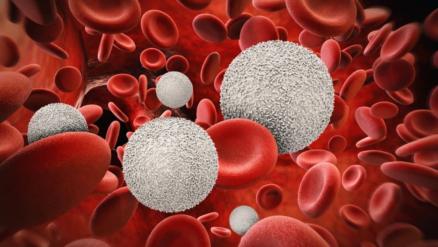 Tata-Sons-backed MedTherapy unveils 1-day CAR T-cell therapy nearly 70% cheaper