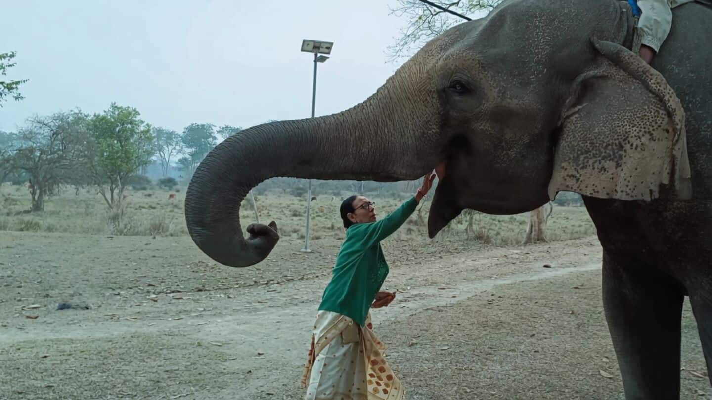 Parbati Barua: Padma Shri for wildlife conservation, pioneering mahout