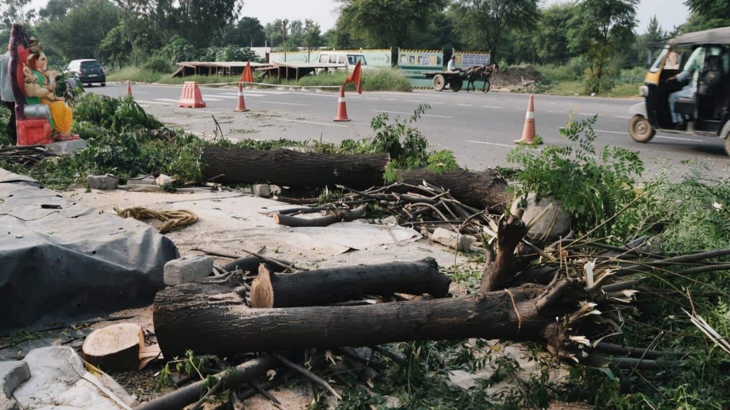 Delhi Forest Department issues SOP to curb illegal tree cutting