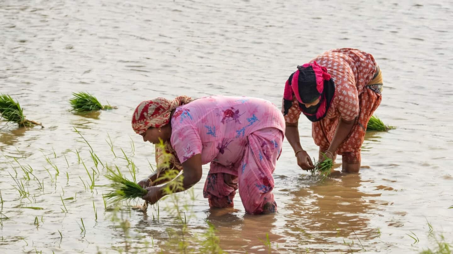 Maharashtra approves draft bill enabling official recognition for women farmers