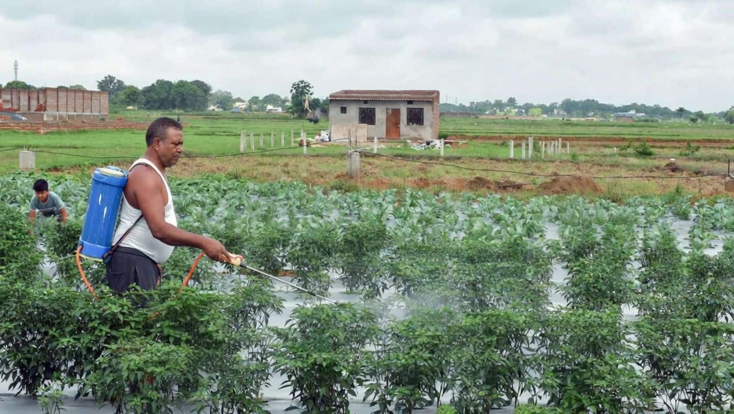 India to boost urea output amid LNG import challenges