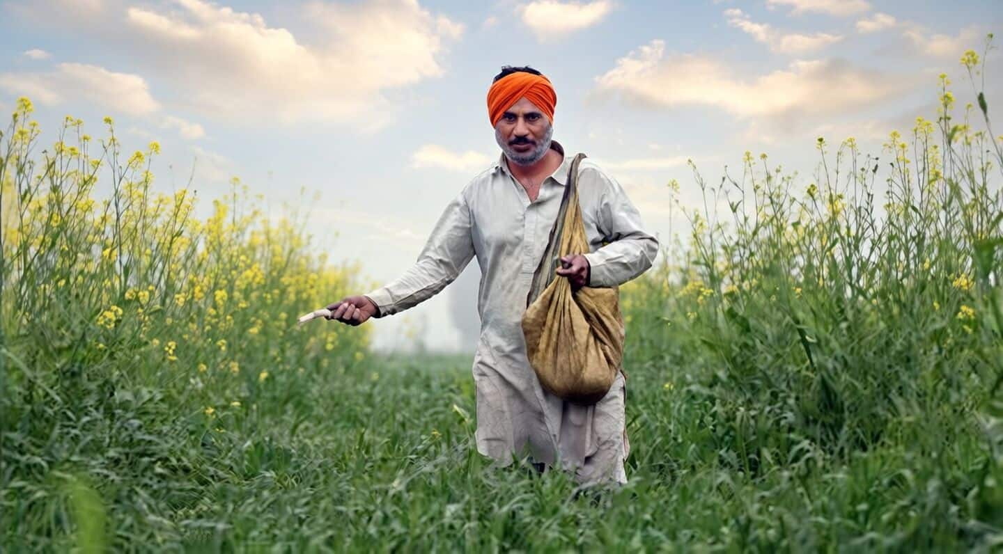 Scientists discover rice gene that boosts yields, reduces fertilizer needs