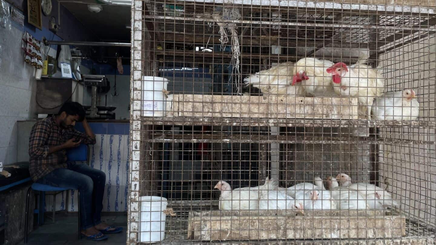 Bengaluru chicken shops shut Sept 3-4 over ₹5/kg poultry-waste fee