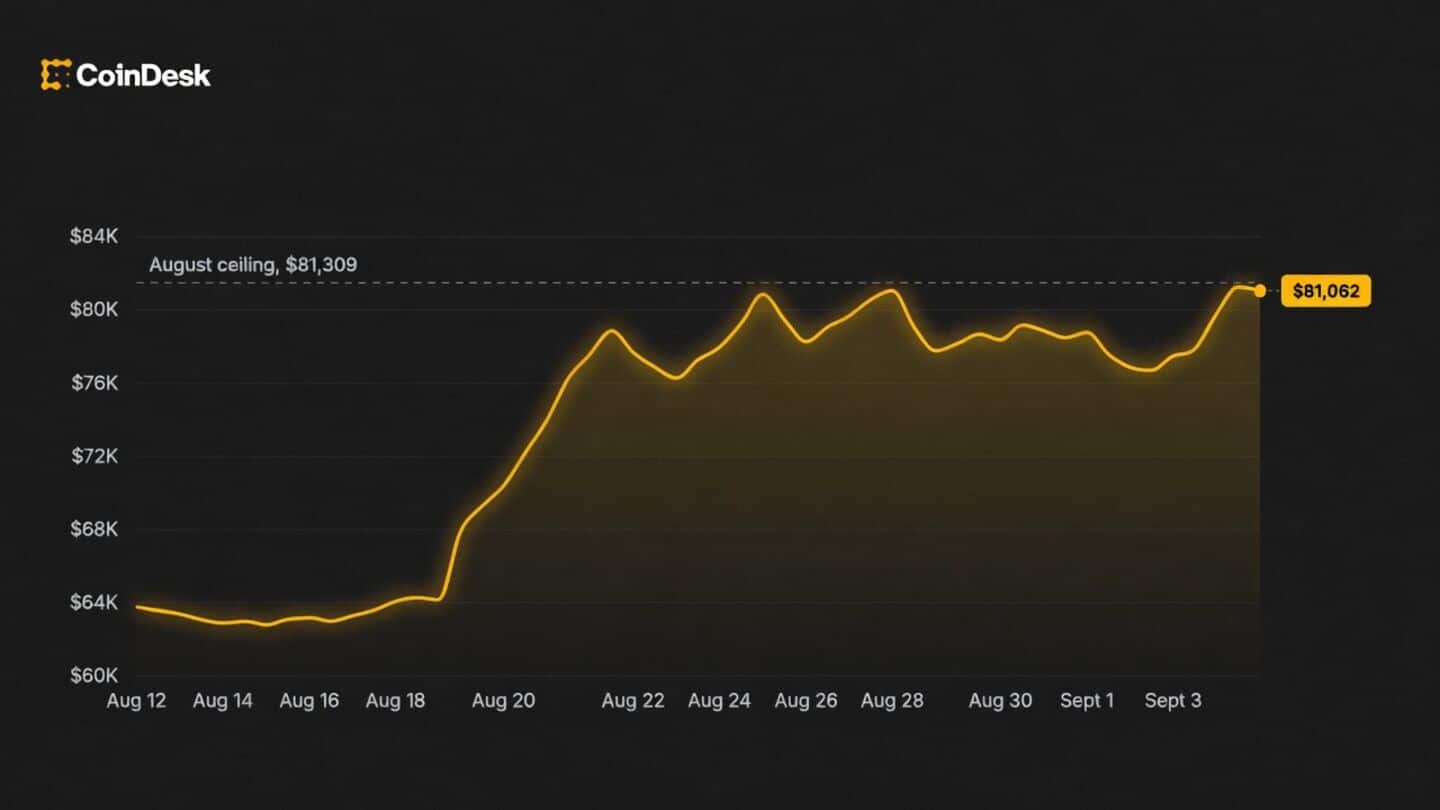 Bitcoin tops $81,309 as Dash Zcash Monero outpace rally