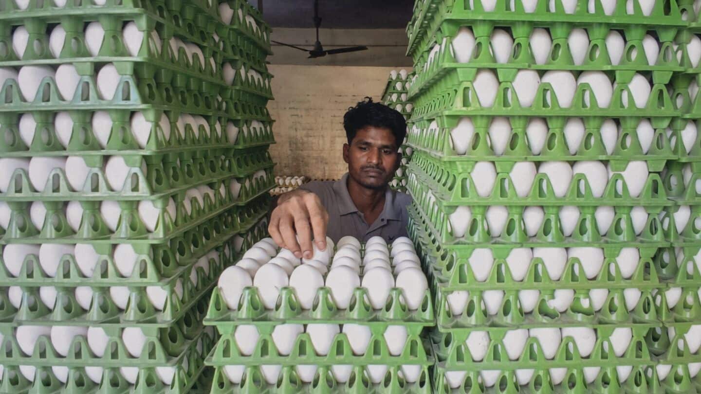 Namakkal egg prices jump amid heatwave and rising feed costs