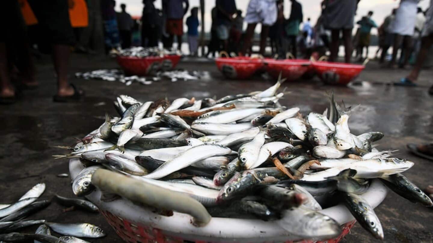 India ratifies WTO fisheries subsidies agreement, Kerala fishers worry