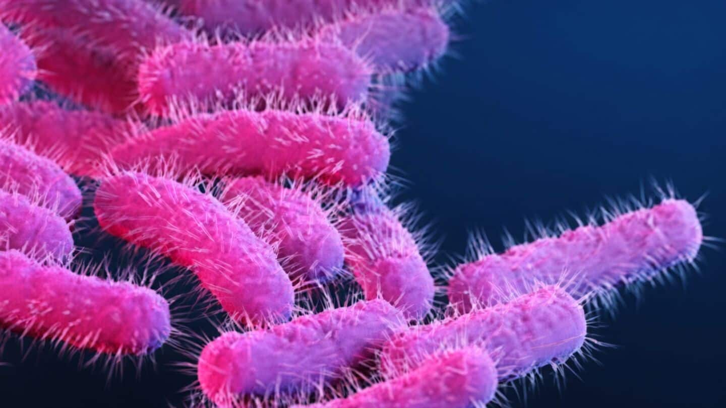 Shigellosis case at Government Engineering College in Wayanad, 4 hospitalized
