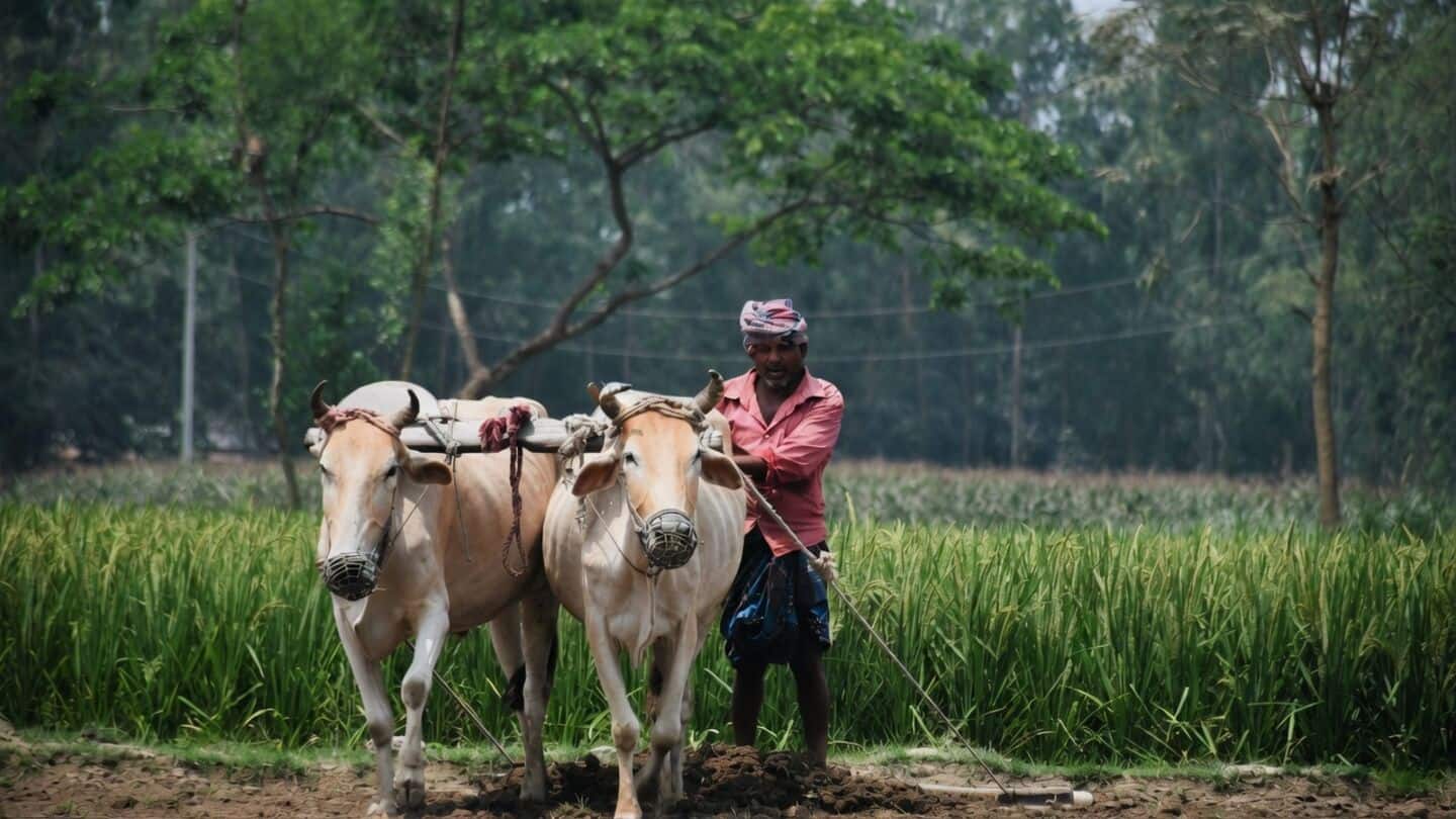 PM-KISAN prepares 24th payout for October 2026, date pending