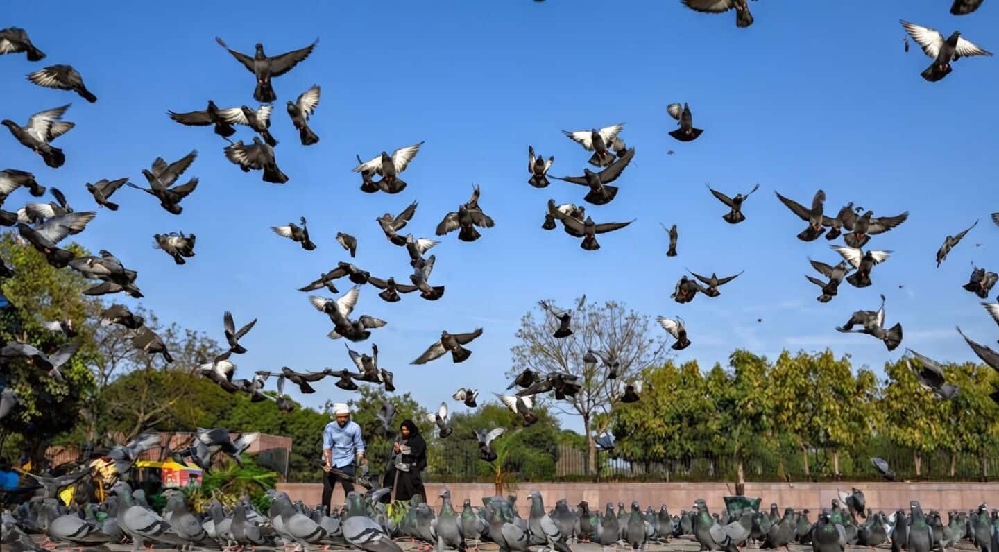 Delhi records hottest day of season so far