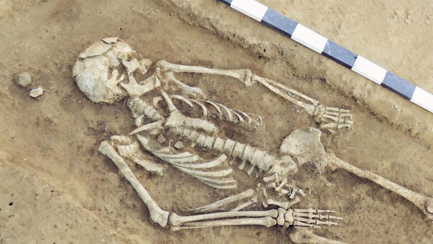 Australian scientists observe arms of donated body shifting during decomposition