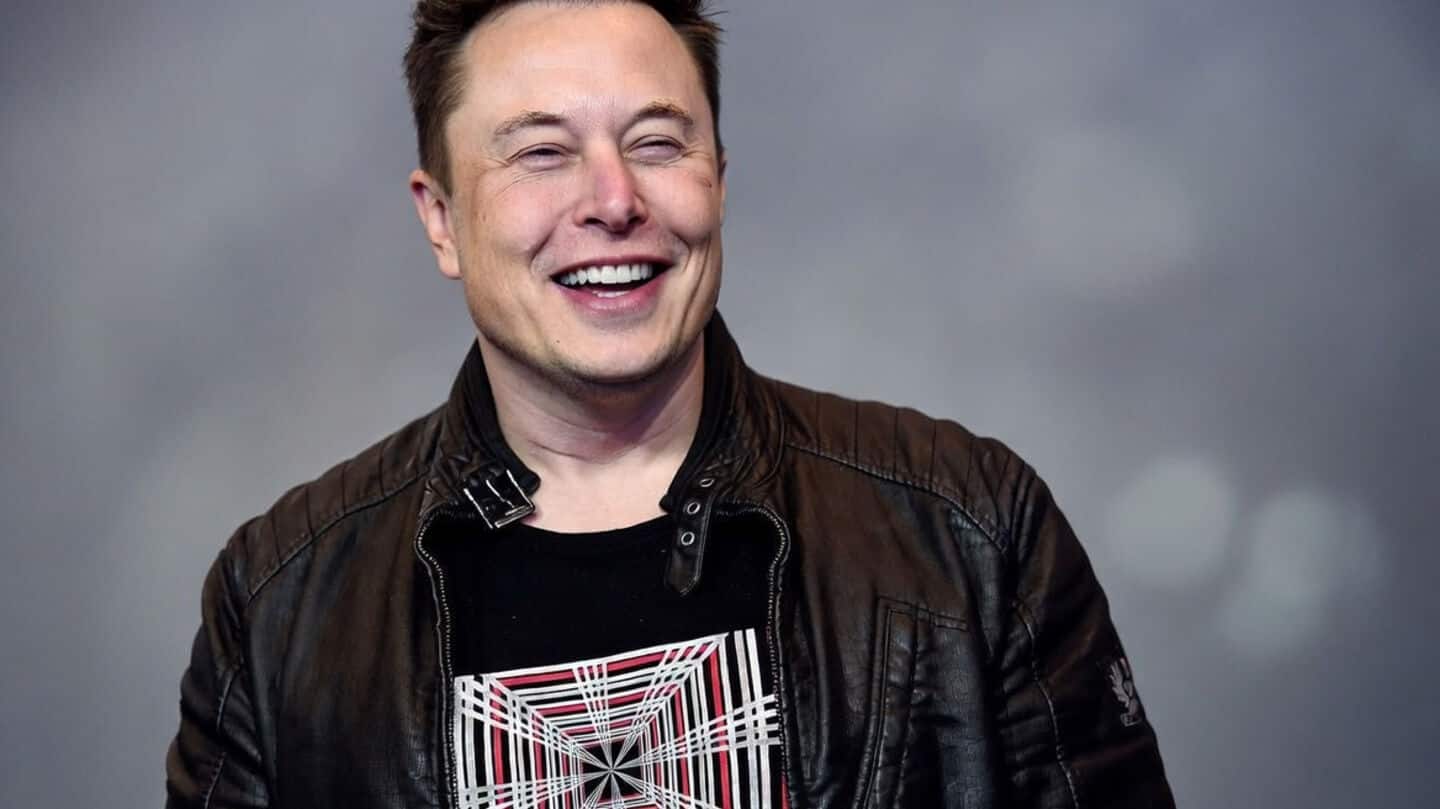 Tesla's AI6 chips could be ready by December: Musk