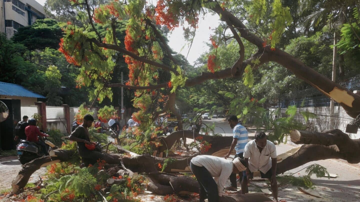Bengaluru weekend disrupted by rain, flooding, fallen trees and traffic