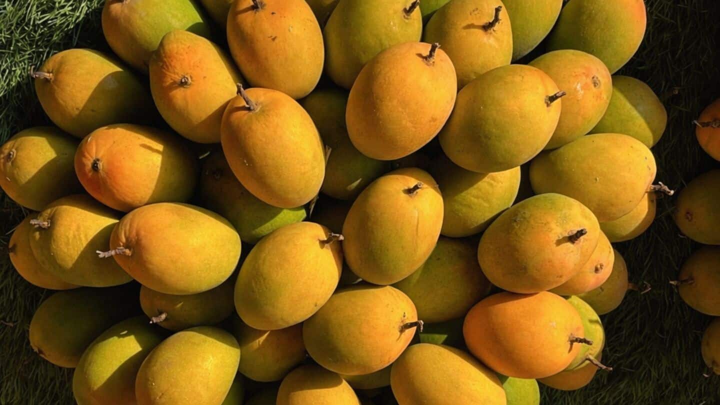 Japan pauses Indian mango imports over VHT humidity issues