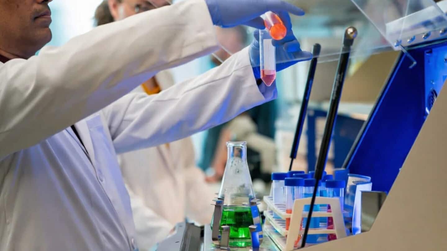 Texas A&M nasal spray may slow or reverse brain aging