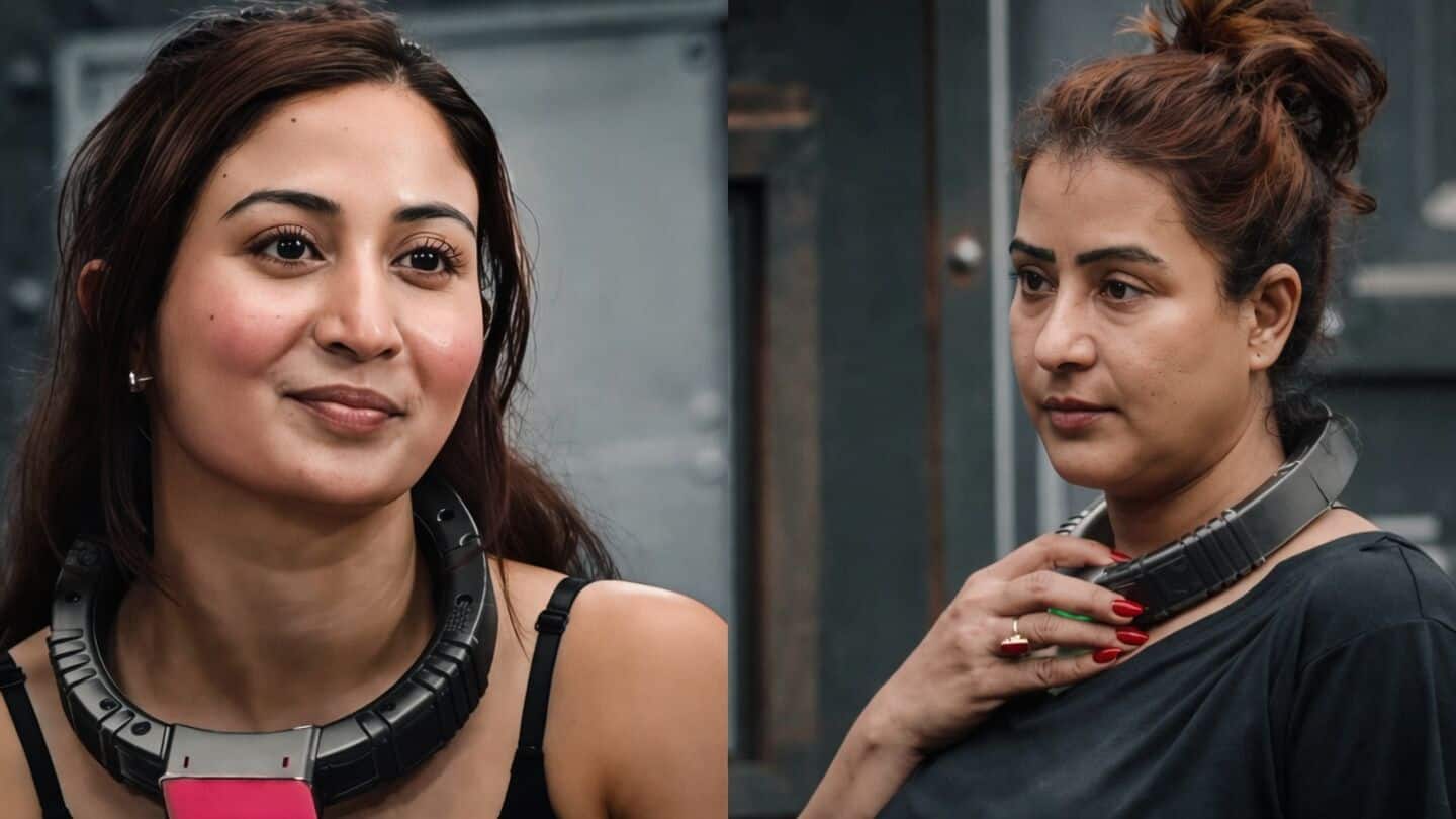 'Lock Upp 2' clash: Kalra calls Shinde 'crazy psychotic woman'