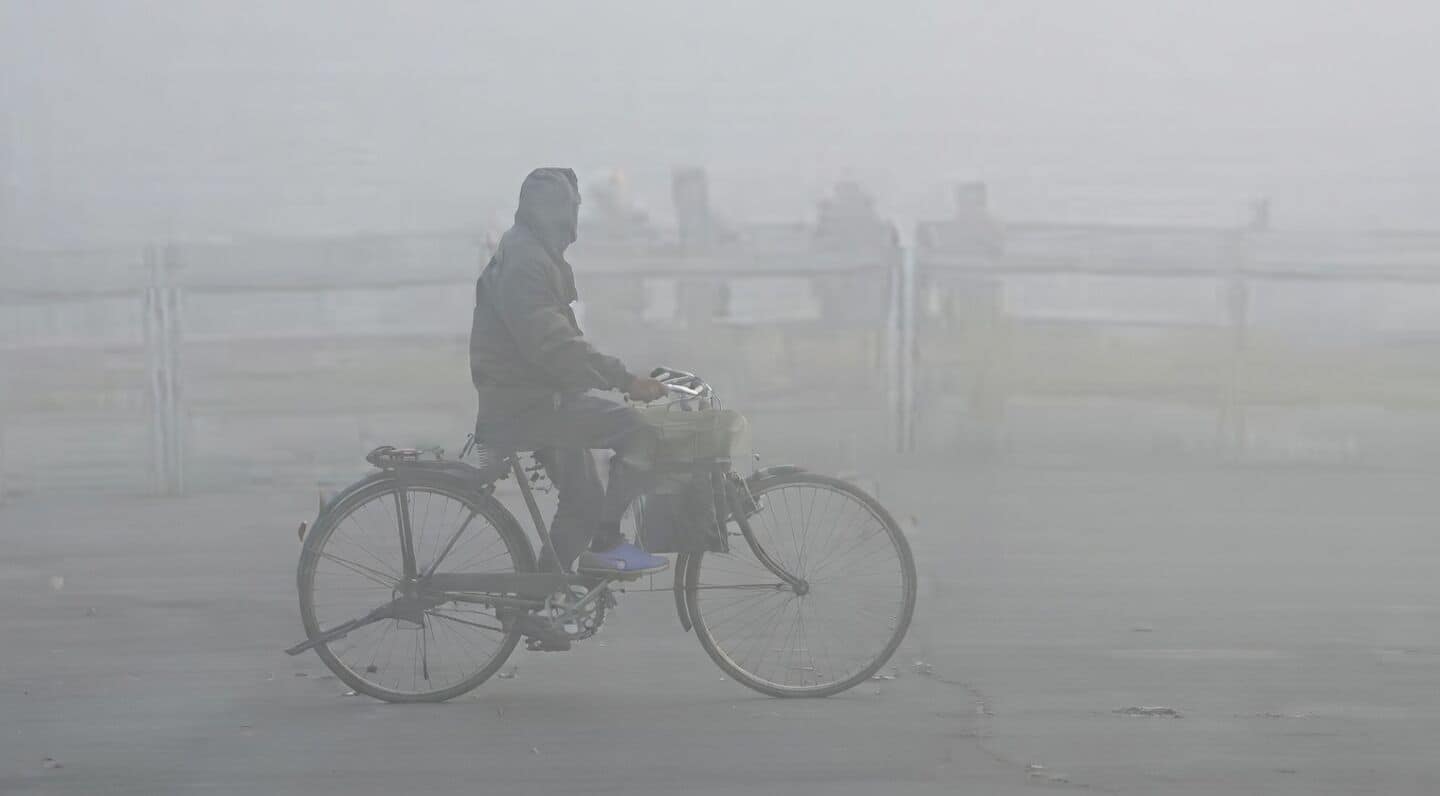 Delhi's 'green budget' allocates ₹22,236 crore to environment