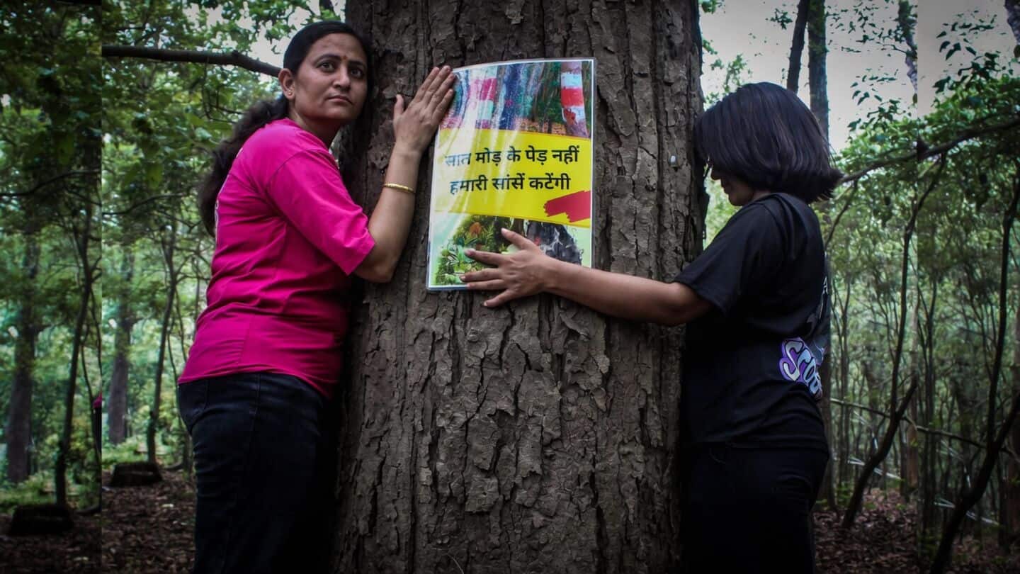Uttarakhand government pauses felling of 3,000 highway trees after protests