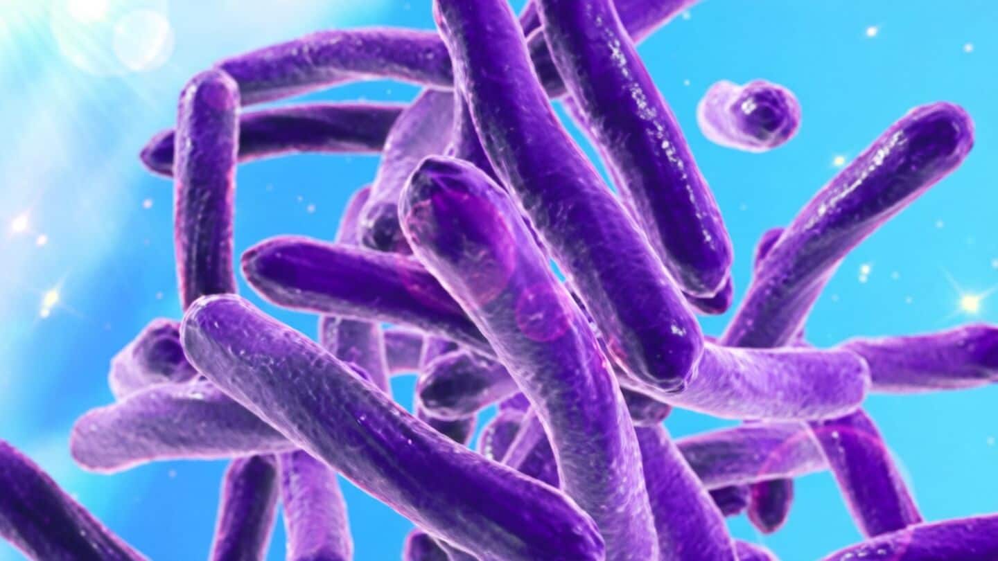 Cell genomics study finds inequality drives antibiotic resistance beyond overuse