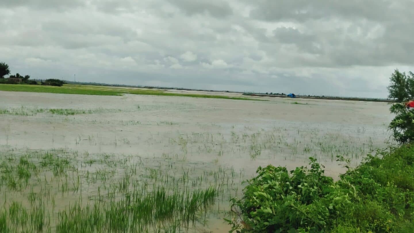 Srikakulam floods, nearly 30,000 acres submerged, more than 12,000 displaced