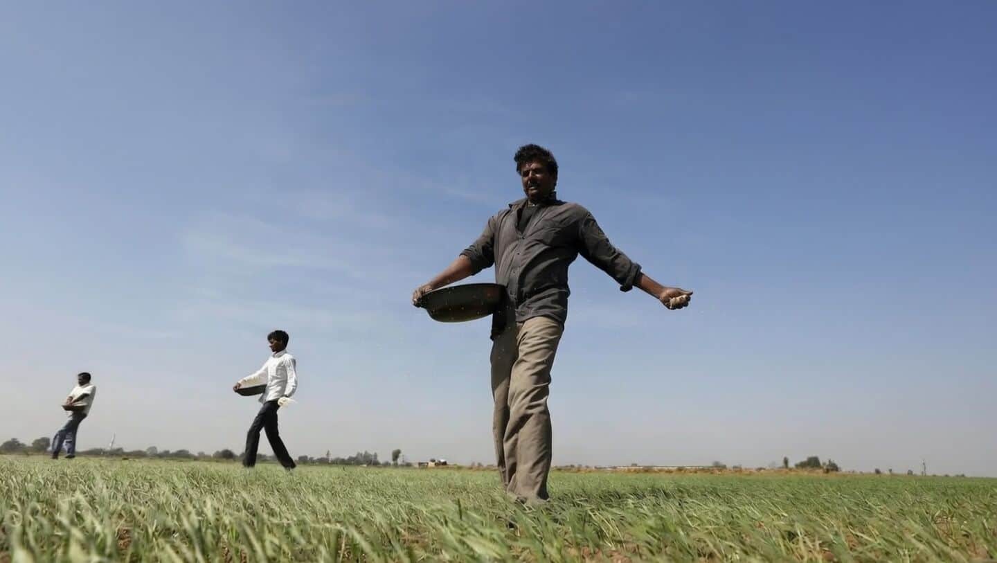 India gears up to import 2.5 million metric tons urea