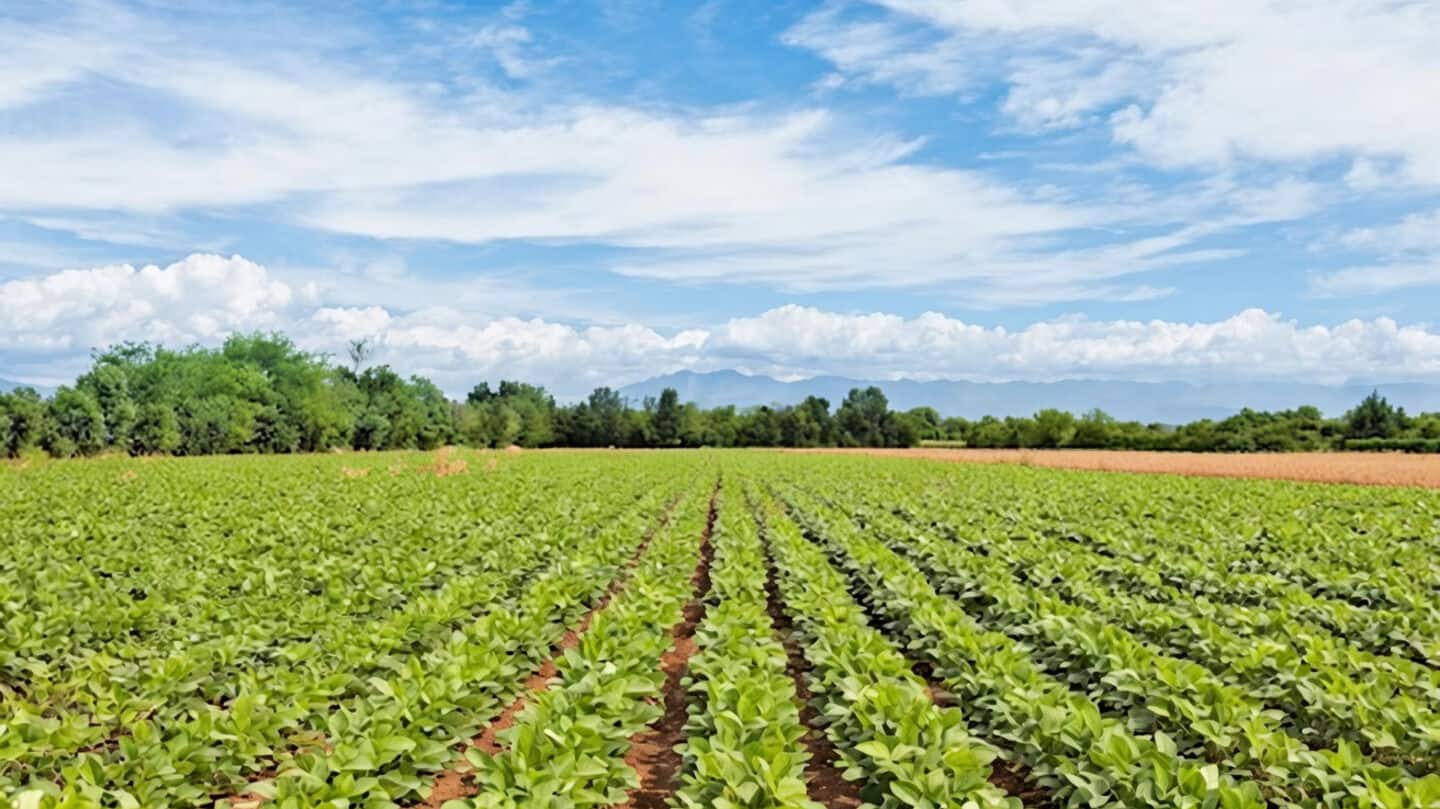 Bayer is going all in on India