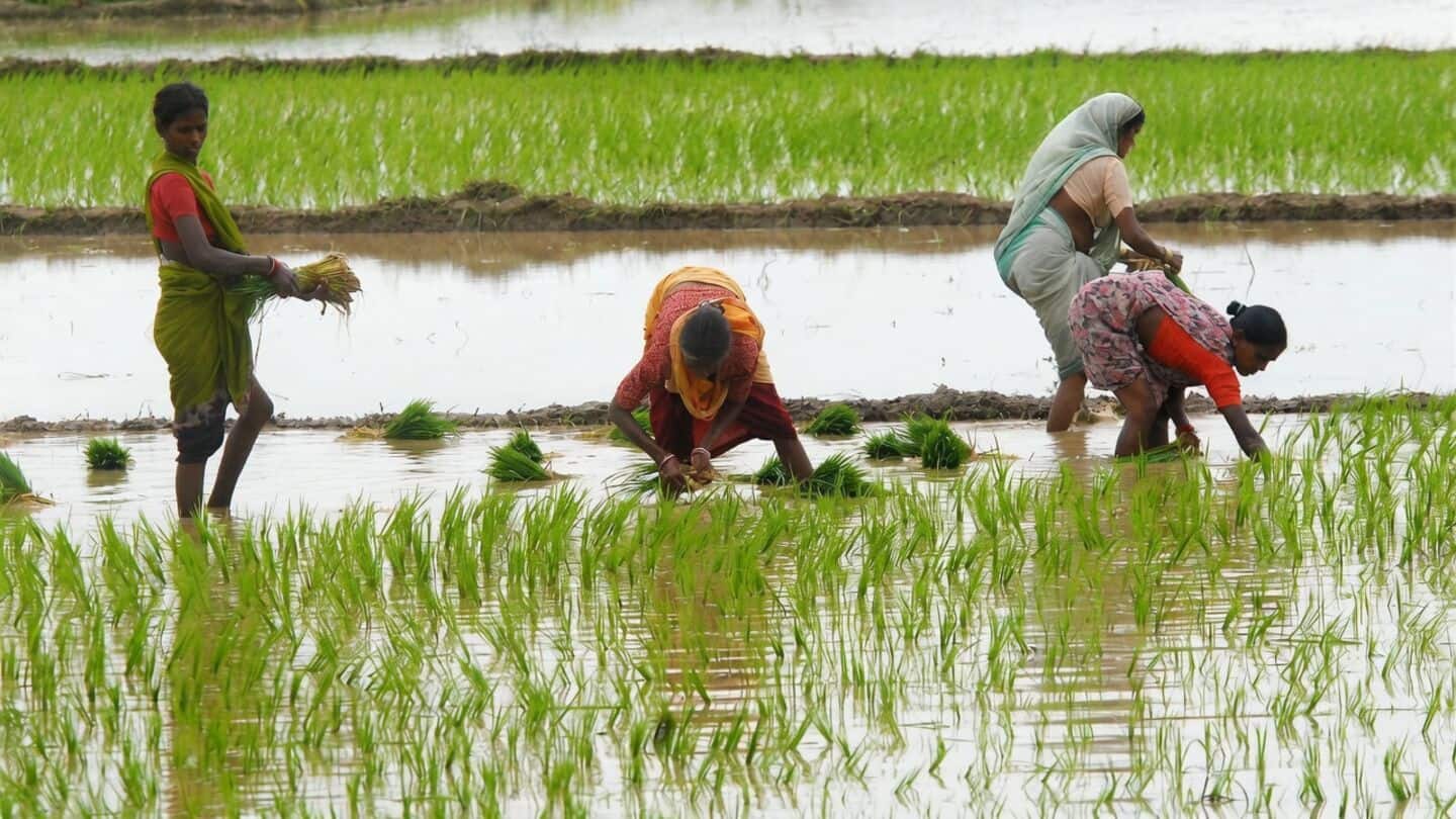 Ample fertilizer stocked for India kharif despite West Asia conflict