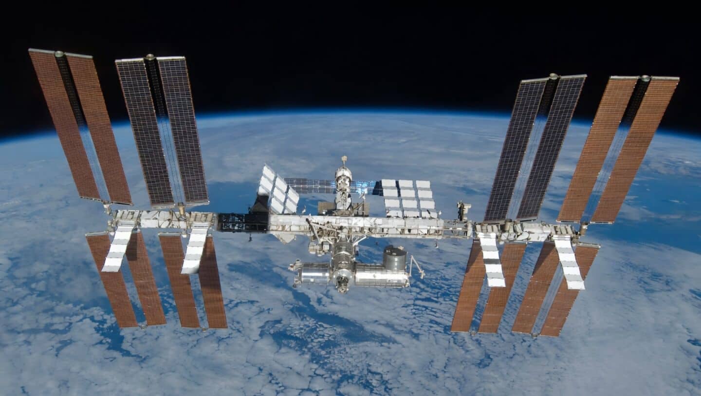 British scientists launch tiny worms to ISS to study effects