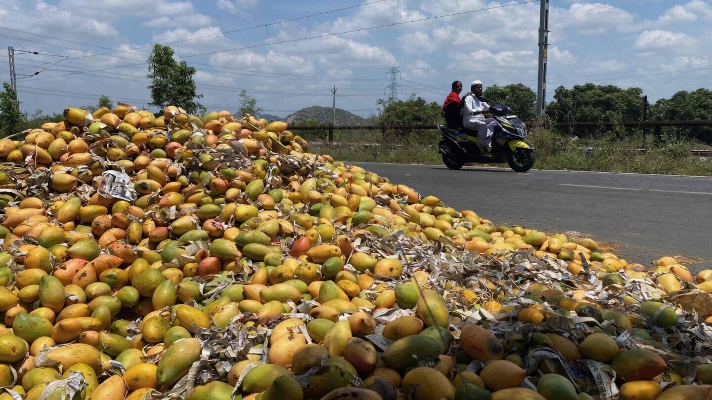 Totapuri crash hits Andhra Pradesh growers amid PDP rollout