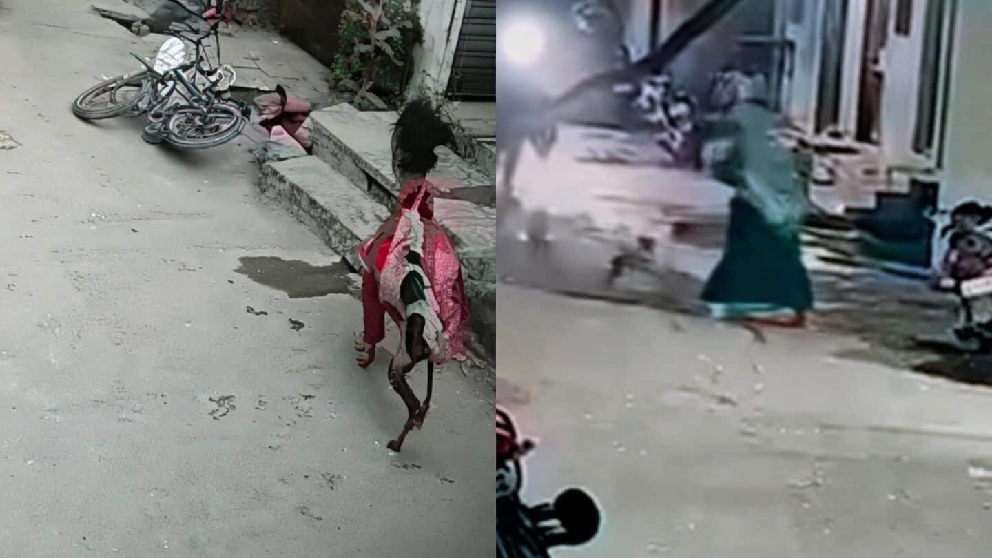 Parli in Maharashtra sees around 95 dog bites this week