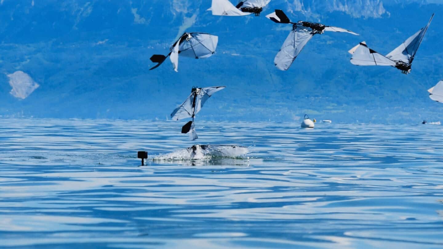 MIT and EPFL build 250-gram robot that swims and flies