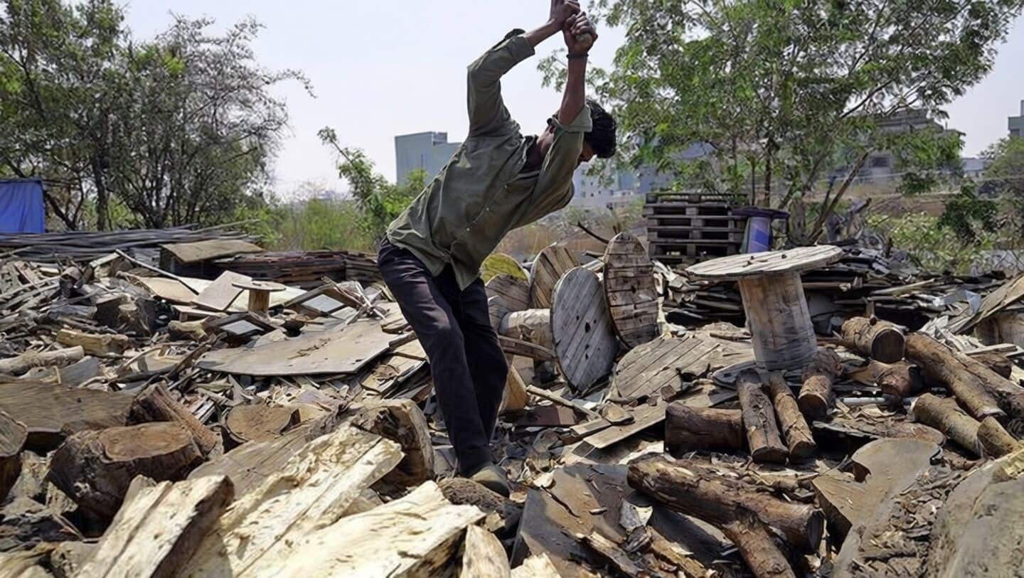 LPG crisis forces restaurants to switch to firewood: What's happening