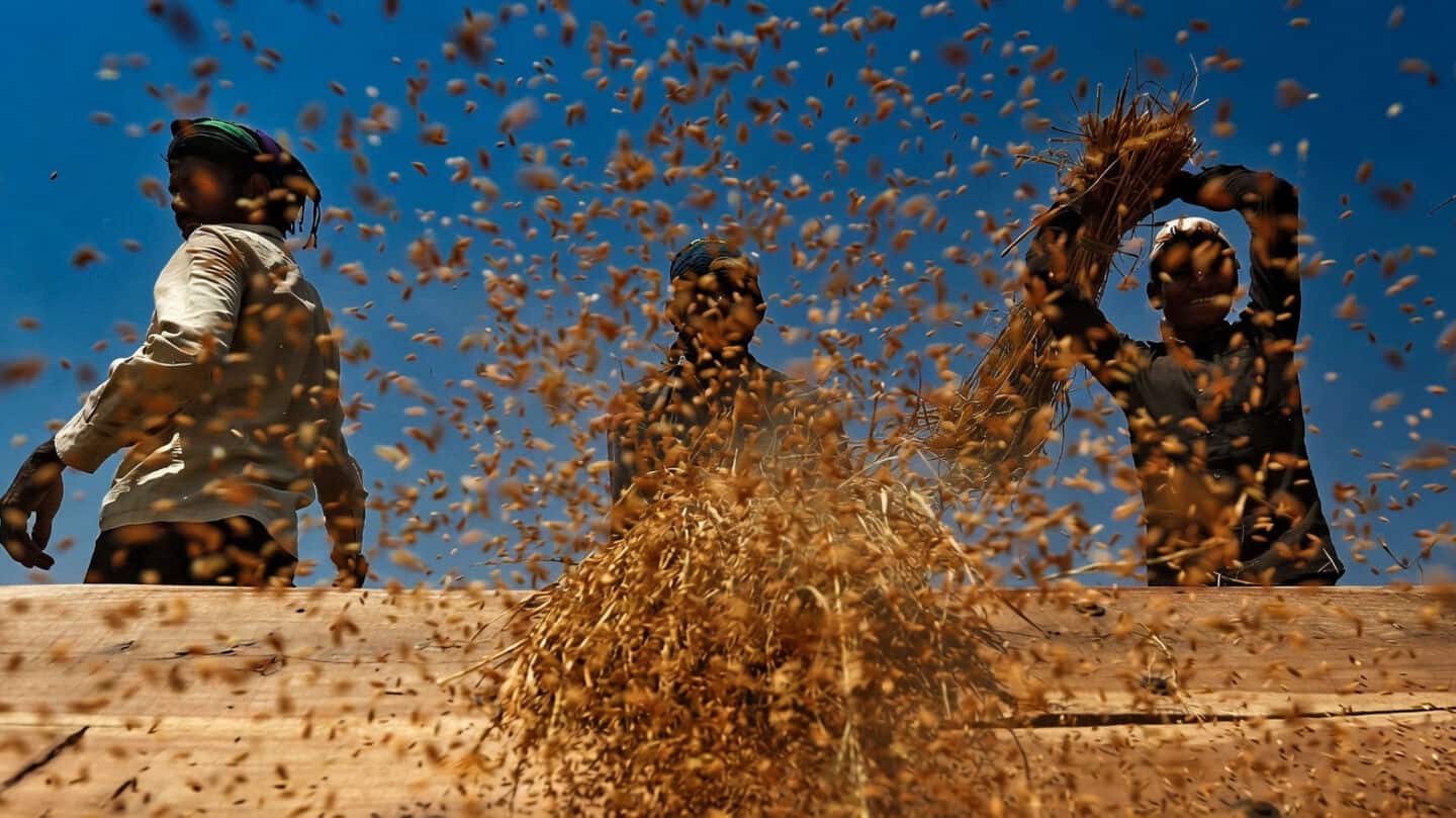 Government readies protection for farmers after IMD forecasts below-normal monsoon