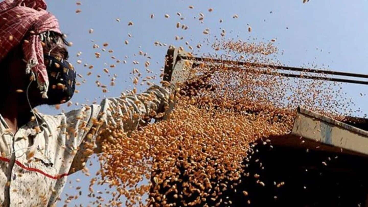 India sets record wheat output target for rabi season