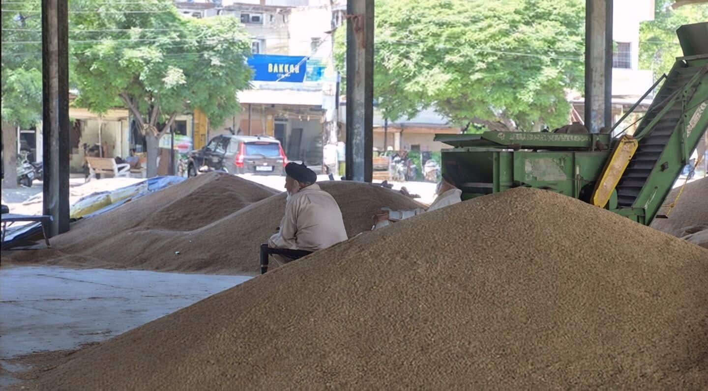 Punjab farmers delay rail blockade to allow faster wheat procurement