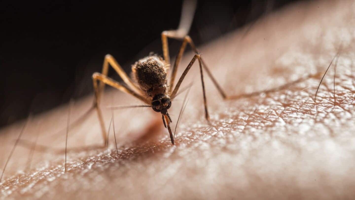 India approves QDENGA dengue vaccine for ages 4 to 60
