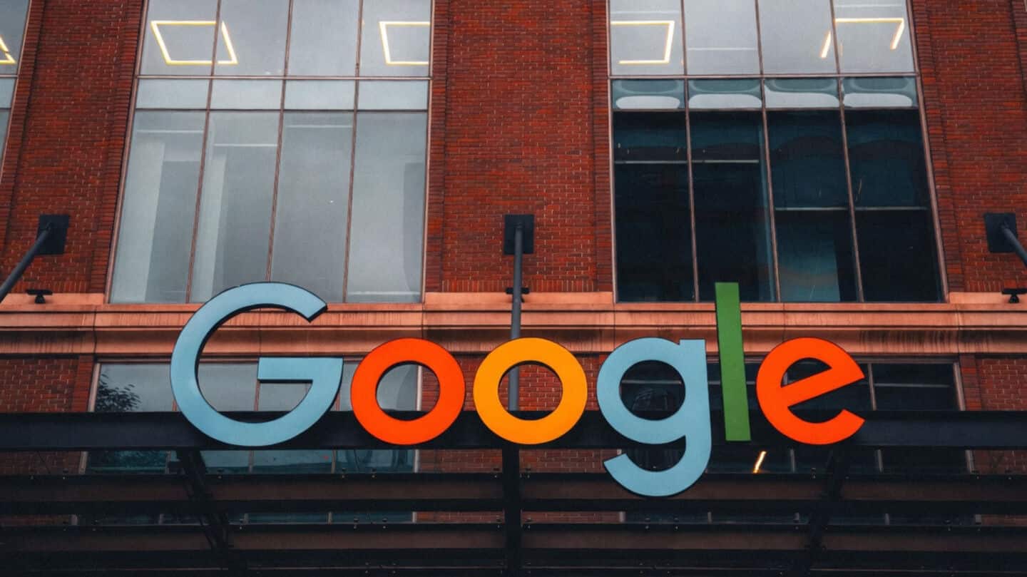 Google backs Rio Grande do Sul 200,000-hectare carbon removal project