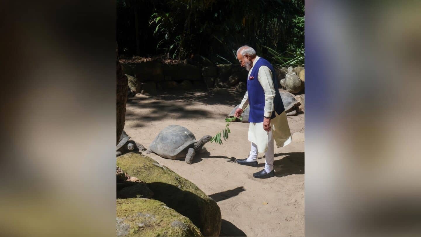 Prime Minister Narendra Modi meets Aldabra tortoise in Seychelles garden