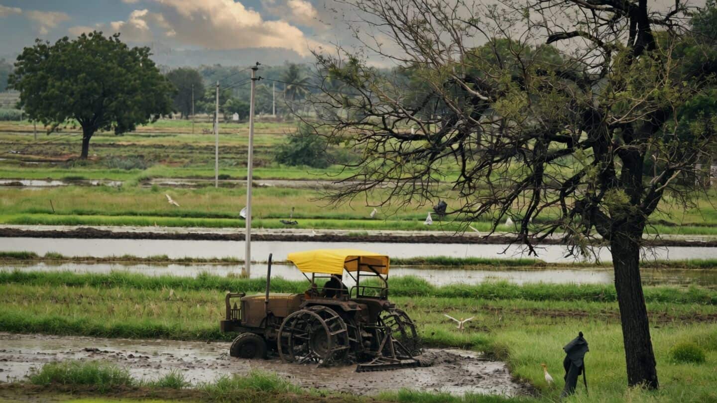 Telangana farming struggles in Vanakalam as El Nino reduces water